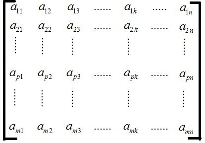 m by n matrix in algebra